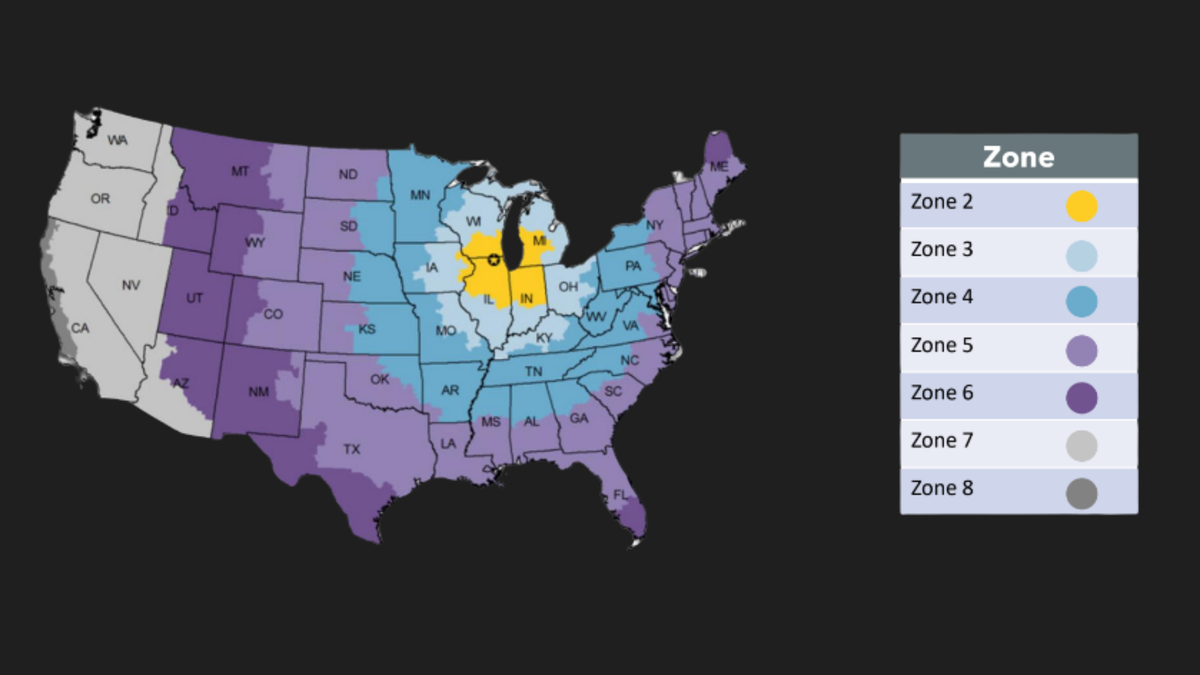 Estimated shipping times by region